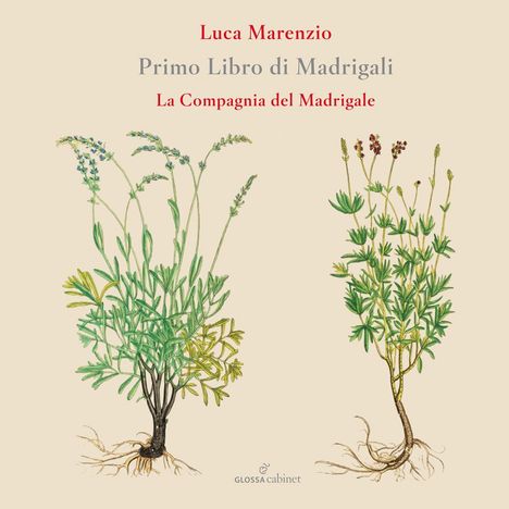 Luca Marenzio (1553-1599): Madrigali Libro 1, CD