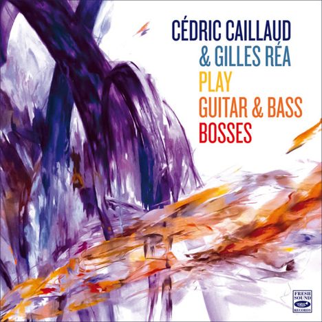 Text: "CÉDRIC CAILLAUD & GILLES RÉA PLAY GUITAR & BASS BOSSES". Farbenfrohe abstrakte Illustration in Lila und Orange.