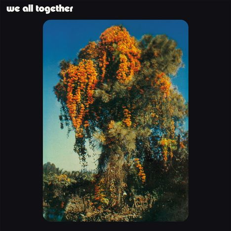 We All Together: We All Together, LP