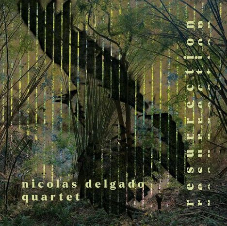 Die Texte lauten "nicolas delgado quartet" und "resurrection". Eine Silhouette eines Vogels schwebt über einem Bambuswald.