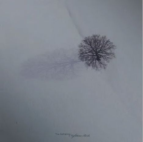 "The Covering" steht am unteren Rand. Ein einzelner kahler Baum wirft einen langen Schatten auf Schnee.