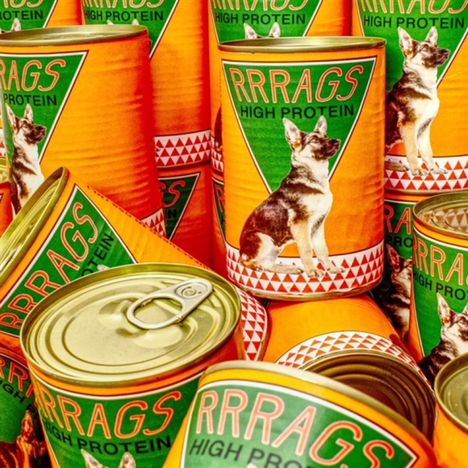 "RRRAGS HIGH PROTEIN" auf Dosen mit Hundebild, orange gestaltet, grüne und rote Akzente.