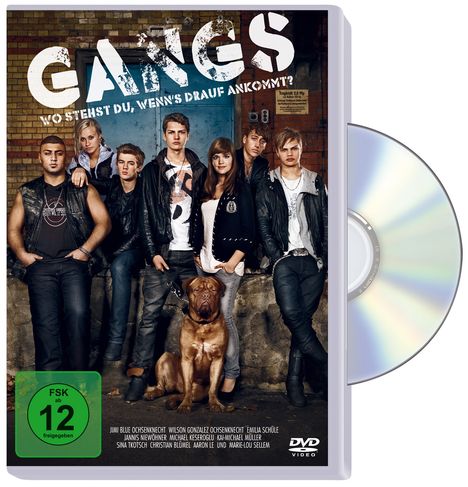 Gangs, DVD