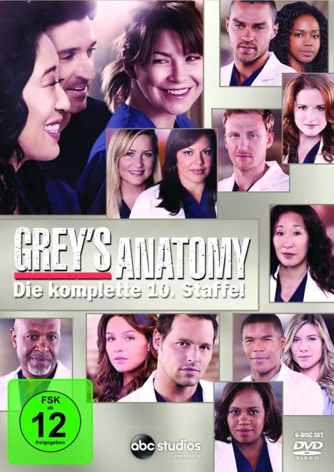 Grey's Anatomy Staffel 10, 6 DVDs