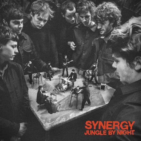 Jungle by Night: Synergy, CD