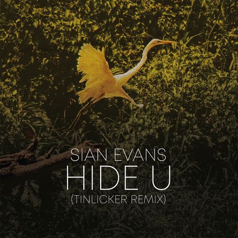 Sian Evans/Tinlicker &amp; Helsloot: Hide U (Tinlicker Remix) / Because You Move Me (180g), Single 12"