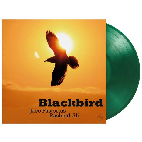 "Blackbird", Jaco Pastorius, Rashied Ali. Silhouette eines Vogels vor orangefarbenem Himmel und Sonne. Grüne Vinylplatte.