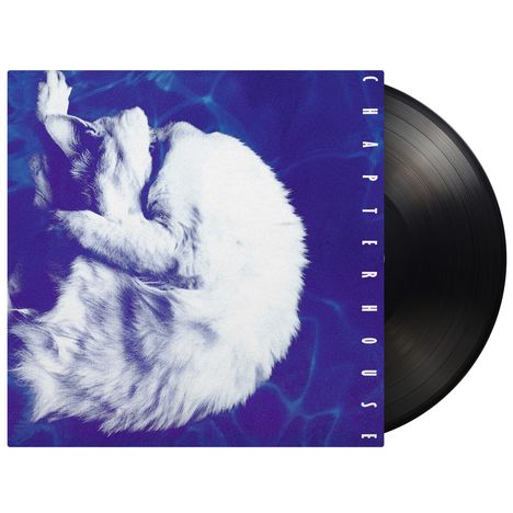 Text: „CHAPTERHOUSE“. 
Eine weiße Katze schläft eingerollt auf blauem Hintergrund. Rechts ist eine Schallplatte sichtbar.