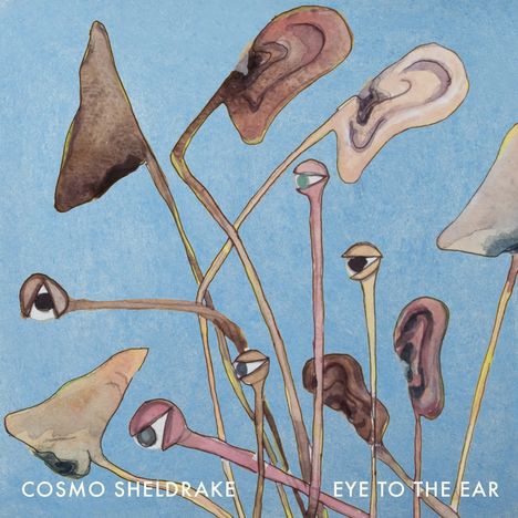 Cosmo Sheldrake: Eye to the Ear, 2 LPs