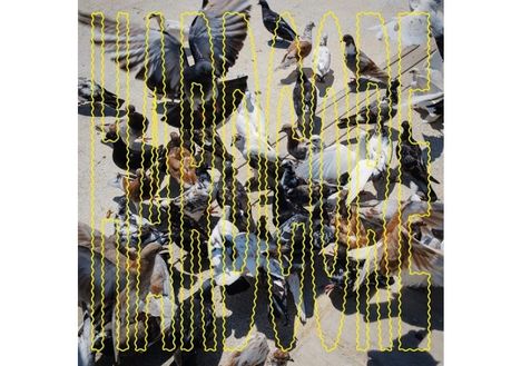 „HARMONY IN CHAOS“ in gelber, gezackter Schrift über einer Menschenmenge von Vögeln, die Durcheinander anzeigt.