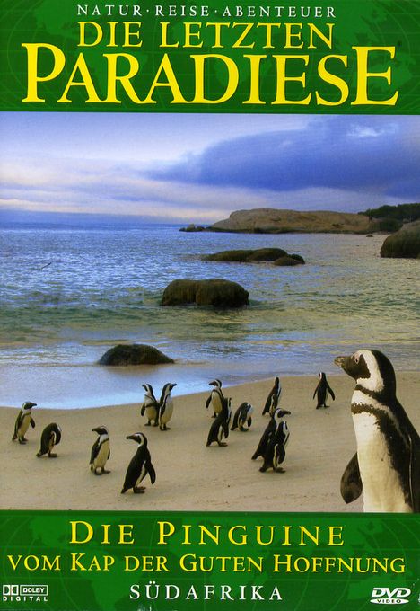 Südafrika: Die Pinguine vom Kap der Guten Hoffnung, DVD