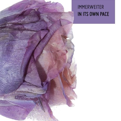 Immerweiter: In Its Own Pace, CD