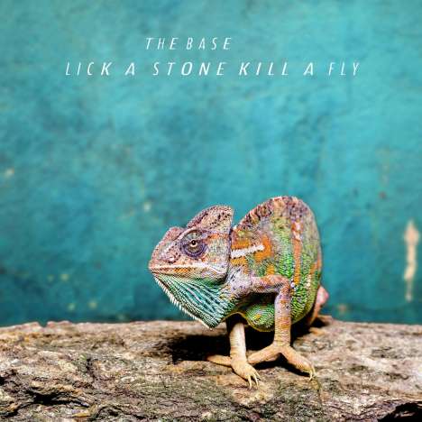 The Base: Lick A Stone Kill A Fly, CD