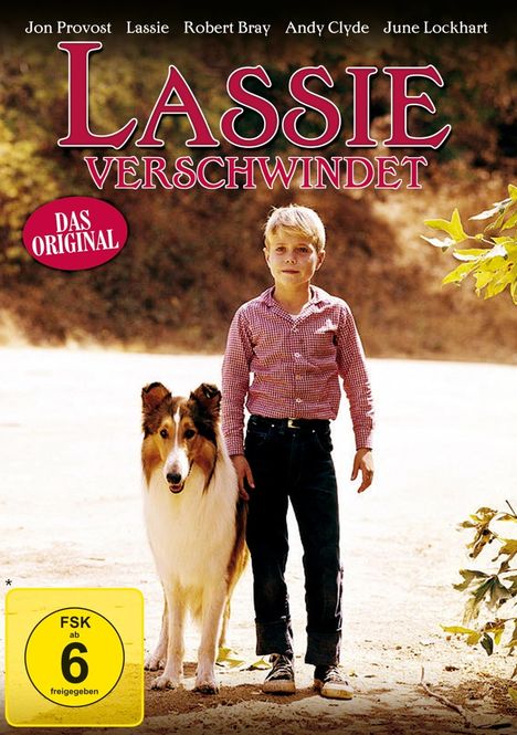 Lassie verschwindet, DVD