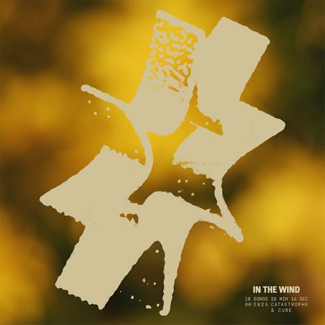 Catastrophe & Cure: In the Wind, LP