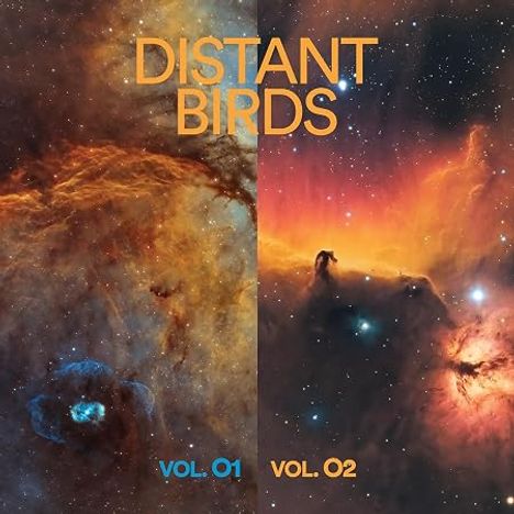Oben steht "DISTANT BIRDS", unten "VOL. 01" und "VOL. 02". Kosmische Szene mit bunten Nebeln und Sternen.