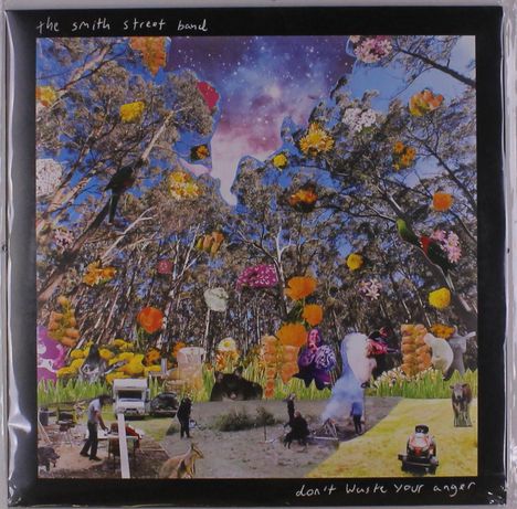 The Smith Street Band: Don`t Waste Your Anger, LP