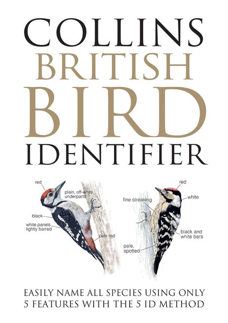 "Collins British Bird Identifier" und "Easy naming of all species using only five features" sind Texte. Zwei Vogelillustrationen.