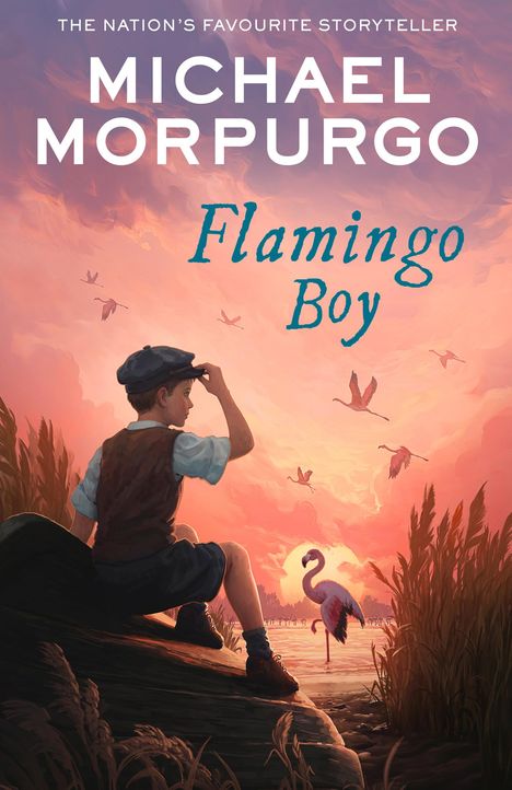 Michael Morpurgo: Flamingo Boy, Buch