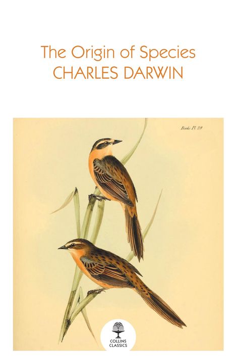 Charles Darwin: The Origin of Species, Buch
