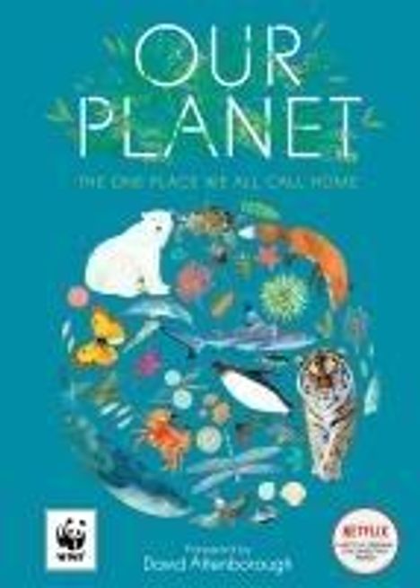 Matt Whyman: Our Planet, Buch