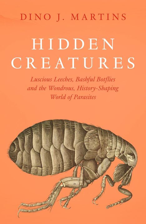 „Hidden Creatures“, Buchcover mit großer Darstellung eines Flohs auf orangem Hintergrund.