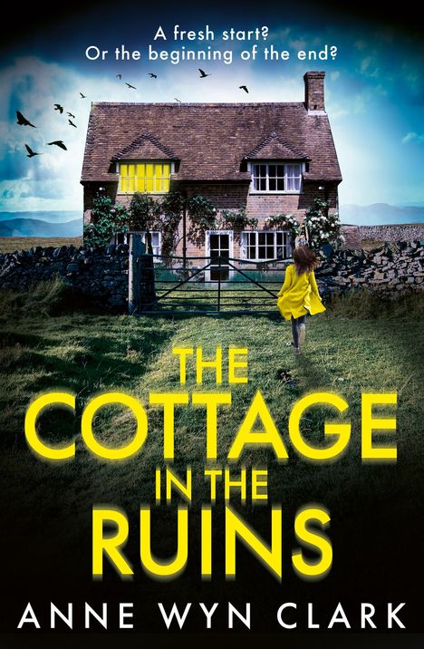 Anne Wyn Clark: The Cottage in the Ruins, Buch