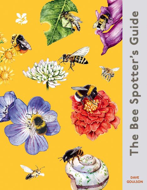 "The Bee Spotter’s Guide" auf gelbem Hintergrund. Mehrere Bienen und Blumen in detailreicher Illustration. Autor: Dave Goulson.