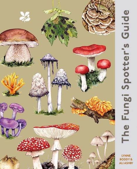 „The Fungi Spotter’s Guide“ Text auf der rechten Seite. Illustrationen verschiedener Pilze auf beigem Hintergrund.