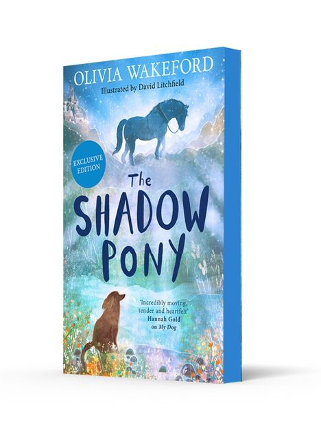 „The Shadow Pony“, Olivia Wakeford, Illustration von David Litchfield. Blaues Cover, Silhouette eines Ponys und Hundes.