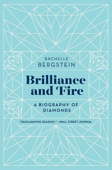 Rachelle Bergstein: Brilliance and Fire, Buch