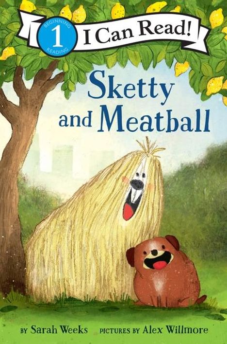 Sarah Weeks: Sketty and Meatball, Buch