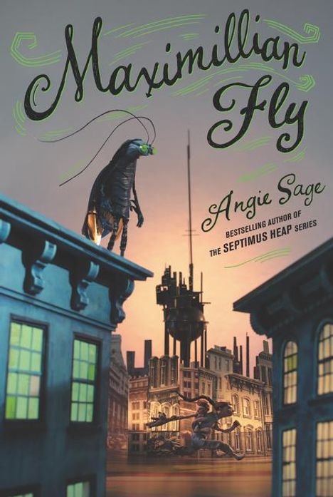 Angie Sage: Maximillian Fly, Buch