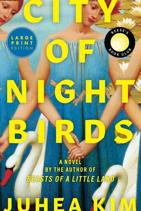 Juhea Kim: City of Night Birds, Buch