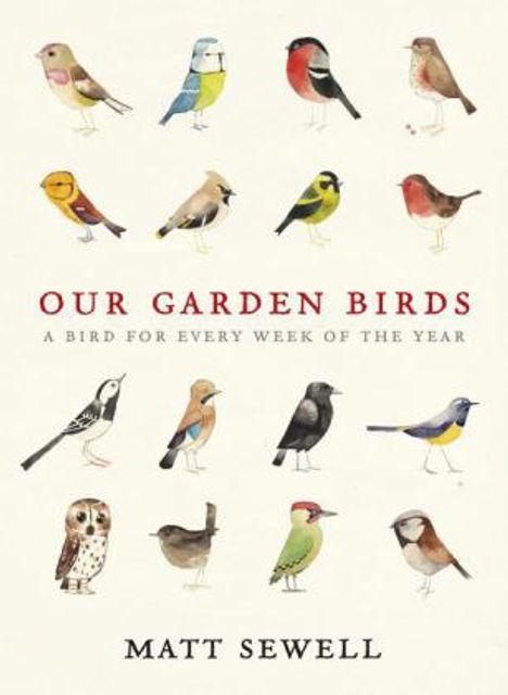 Matt Sewell: Our Garden Birds, Buch