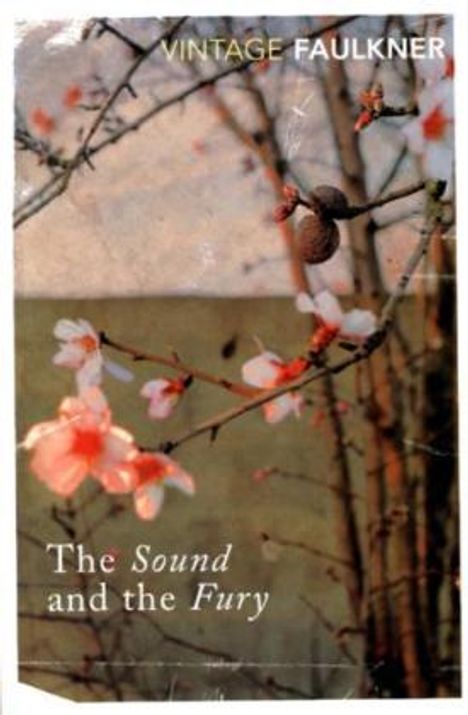 William Faulkner: The Sound and the Fury, Buch