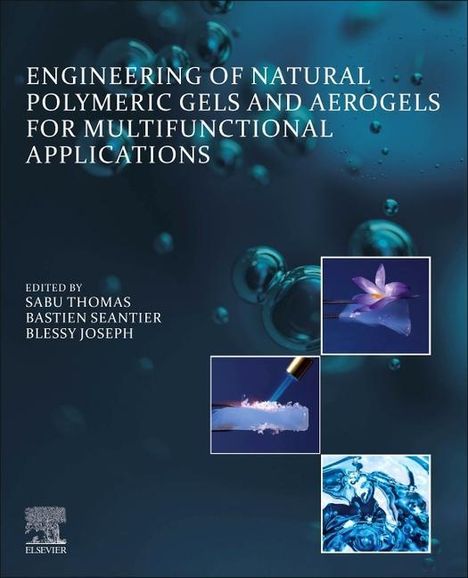 Engineering of Natural Polymeric Gels and Aerogels for Multifunctional Applications, Buch