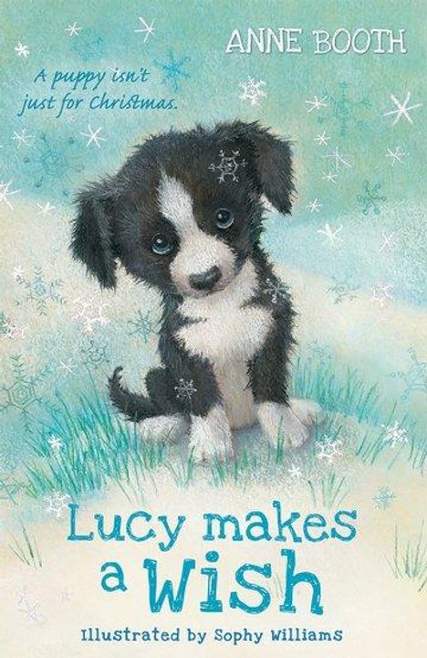 Anne Booth: Lucy Makes a Wish, Buch