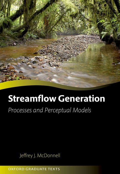 "Streamflow Generation: Processes and Perceptual Models" von Jeffrey J. McDonnell. Ein flacher Fluss in einem Wald.