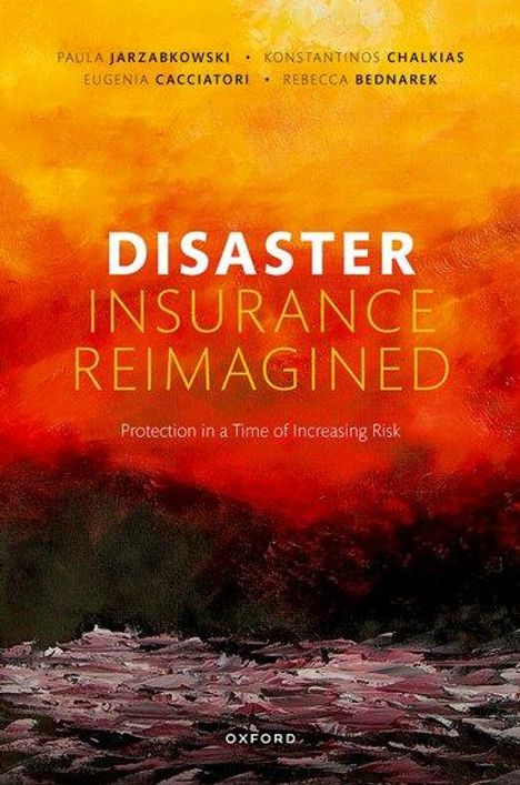 Eugenia Cacciatori: Disaster Insurance Reimagined, Buch