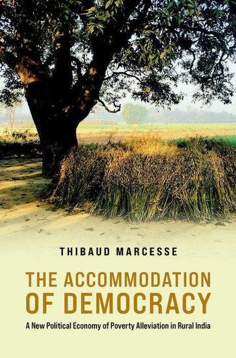 Thibauld Marcesse: The Accommodation of Democracy, Buch