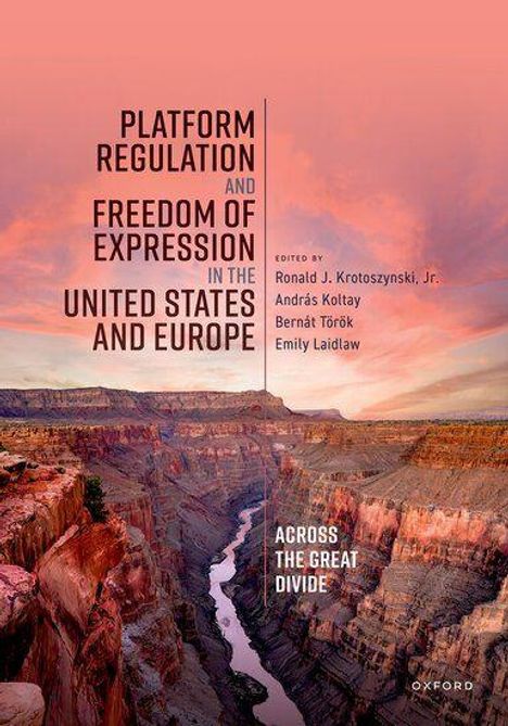 „Platform Regulation and Freedom of Expression in the United States and Europe.“ Der Hintergrund zeigt eine Canyon-Landschaft.