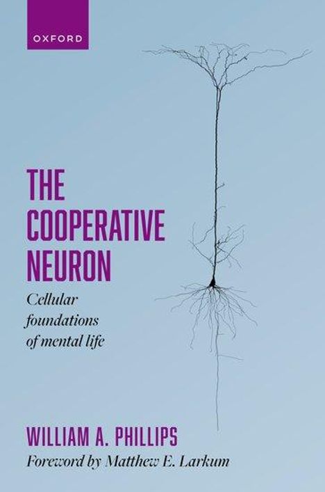 William A Phillips: The Cooperative Neuron, Buch