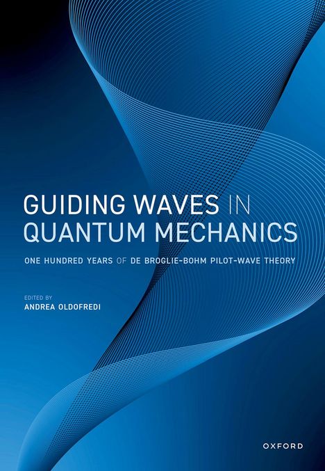 Guiding Waves in Quantum Mechanics, Buch