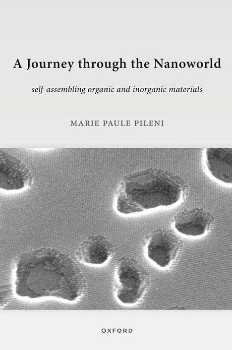 Marie Paule Pileni: A Journey Through the Nanoworld, Buch