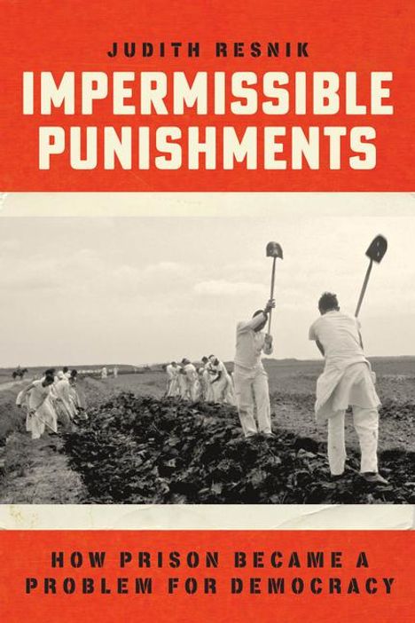 Judith Resnik: Impermissible Punishments, Buch