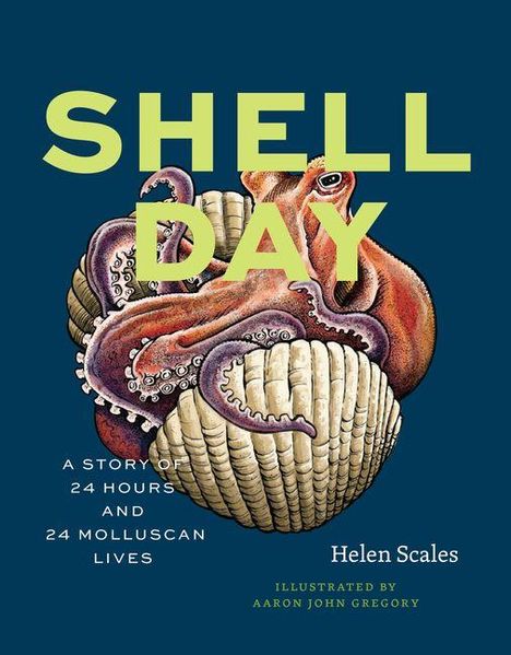 "Shell Day: A Story of 24 Hours and 24 Molluscan Lives" von Helen Scales. Illustration: Krake mit Muscheln.