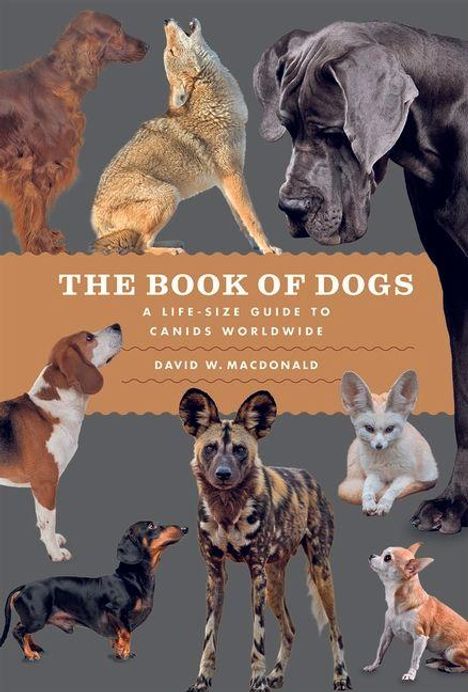 "The Book of Dogs", Rassen und Caniden weltweit. Verschiedene Hundearten und ein Fennek auf grauem Hintergrund.