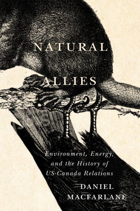 Daniel Macfarlane: Natural Allies: Environment, Energy, and the History of Us-Canada Relations, Buch