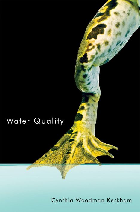 Cynthia Woodman Kerkham: Water Quality, Buch